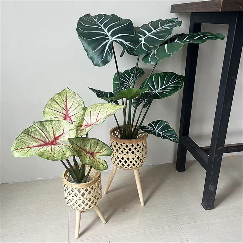 北欧ins风客厅绿植竹编装饰花架竹藤编花盆阳台花架编织篮子