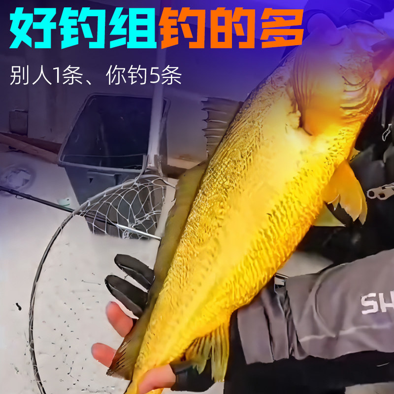 大黄鱼鱼光双钩萤黄钓组舟山渔山船串钩船钓钩海钓真鲷黄姑夜光组