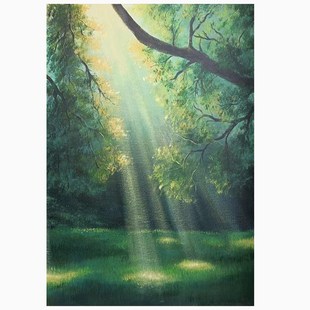 丁达尔效应手绘油画客厅绿色森林风景装饰画玄关晨曦阳光普照挂画