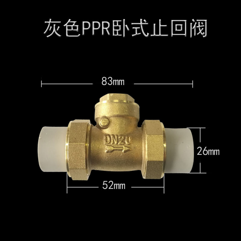 PPR202532405063卧式止回阀单向阀防倒流阀逆止阀灰色立式止回阀