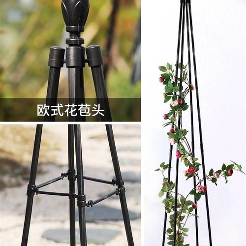园艺兰花四角塔型花架铁线莲户外攀爬架植物花盆玫瑰室外爬藤支架