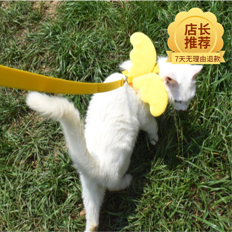 小顺子猫咪黑小型狗手上绑带绳子防走丢I带粗手上细绳溜猫绳栓猫