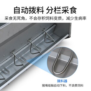 不锈钢双面料槽 育肥猪仔猪单面食槽保育猪自动下料喂料器