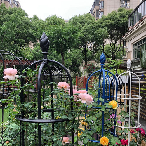 加粗花架爬藤架铁线莲月季玫瑰植物爬藤铁艺支撑架阳台室外花架