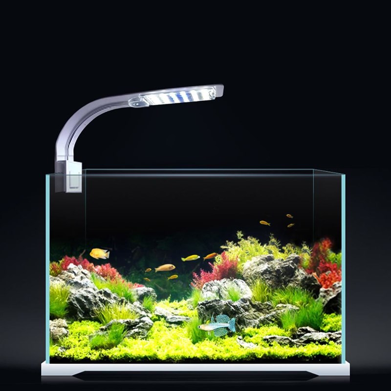 推荐LED Aquarium Fish Tank Light Clip-on 5W/10W/15W LED Plan