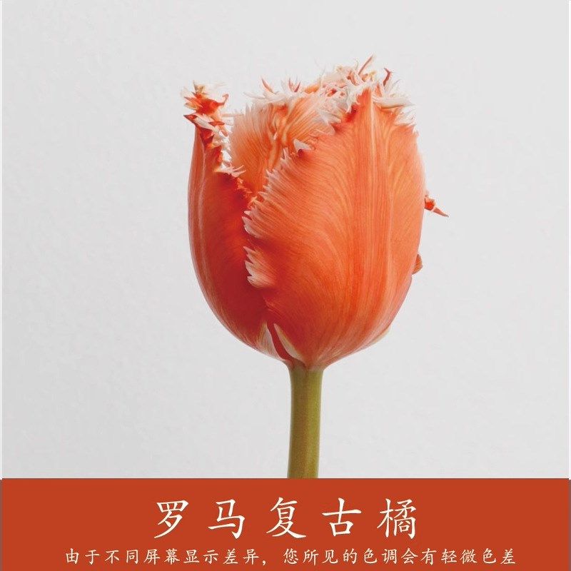 干花染色乌梅子酱着色剂花店花y朵上色培养液马卡龙鲜花染料染色,鲜花速递/花卉仿真/绿植园艺,花艺材料,淘宝优惠券,粉丝福利购,淘宝优惠卷