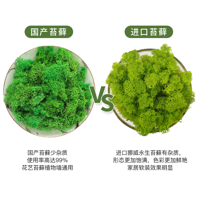 挪威进口永生苔藓墙仿真青苔植物墙DIYJ饰品微景观背景墙室内软装