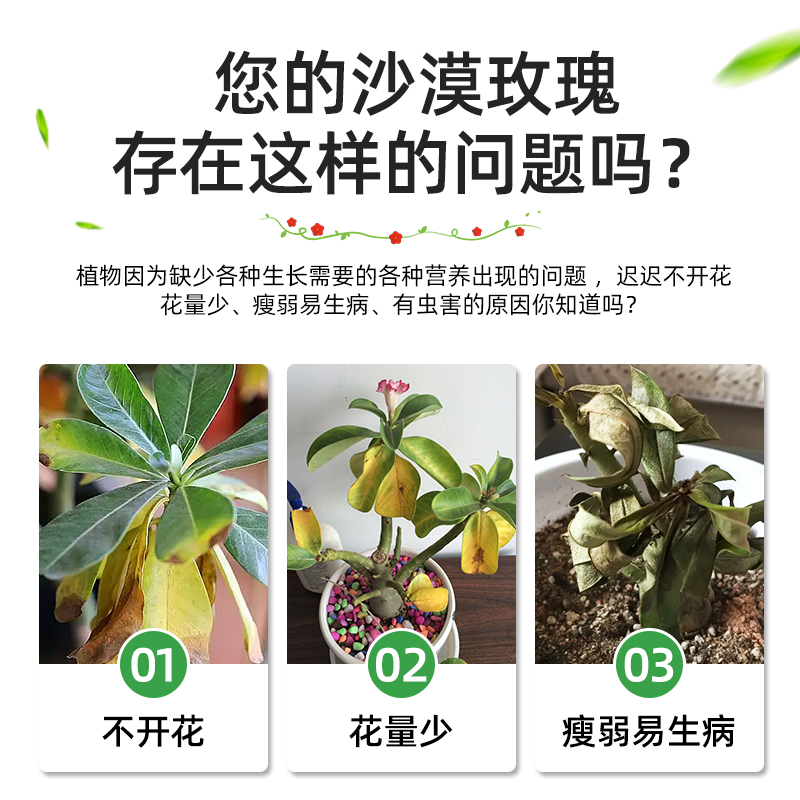 沙漠玫瑰专用肥沙漠玫瑰花肥富贵花开花土玖瑰九里香什么肥料生物