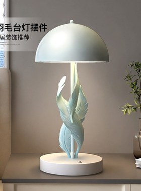 羽毛小夜灯摆件房间卧室床头氛围灯家居客厅玄关桌面台灯生日礼物