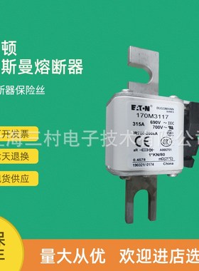 全新原装快速熔断器保险丝170M2683 170M2684 170M2685 170M2690