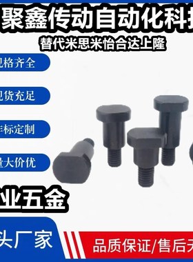 CBDBWH4/5/6/8/10/12-1-2-3~20 两平面支点用台阶螺丝 MJK21 发黑