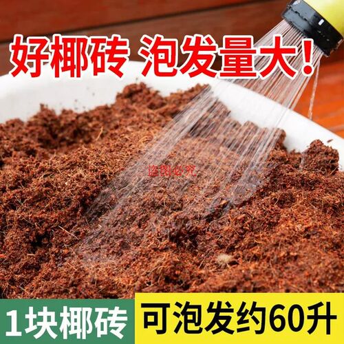大块椰砖营养土种菜椰糠椰砖土9斤脱盐粗椰壳椰土养花通用型