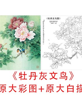 工笔花鸟斗方白描底稿李晓明-牡丹灰文鸟-线描临摹实物打印稿838C