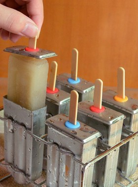 Popsicle Mold Stainless Steel Ice Cream Mold with Popsicle H