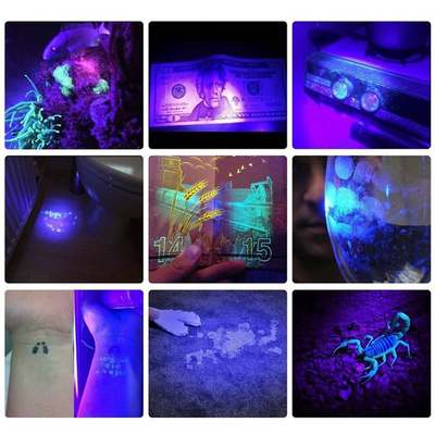 推荐395nm UV Lamp USB Rechargeable Ultraviolet Flashlight 3