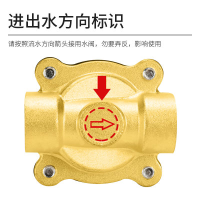 户外款铜/不锈钢电磁阀水阀浇花淋花室外阀门控制阀AC220/DC24/12