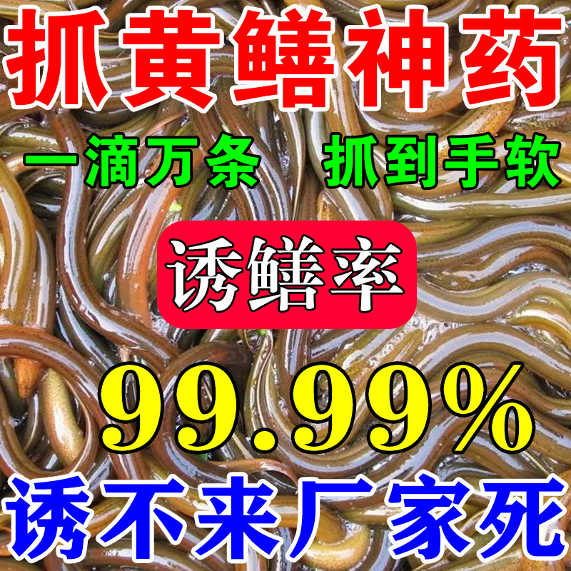 厂家黄鳝小药饵料诱鳝灵泥鳅药诱捕黄鳝专用龙虾诱饵抓鳝鱼神器诱