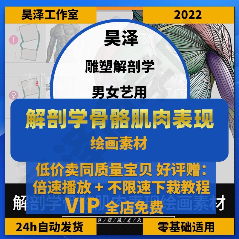 人体结构电子书PDF雕塑解剖学骨骼肌肉表现男女艺用绘画美术素材