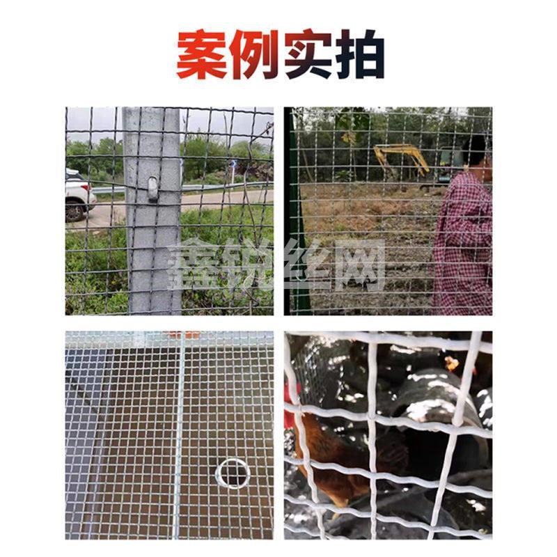 热镀锌钢丝编织网轧花羊床网养猪防护网加粗养殖围栏网钢丝网筛网