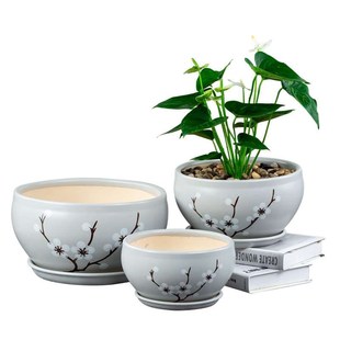 多肉花盆大口径25-29cm花盆特盆栽带托盘花卉绿植福字盆陶瓷28