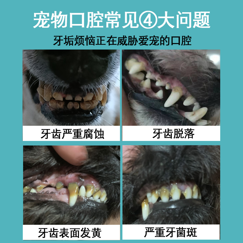 狗狗牙结石去除器宠物超声波洗牙器猫咪牙齿清洁神器洁牙仪机工具