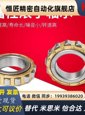 无外圈圆柱滚子轴承RN204M RN205EM 206 207 208 209M现货