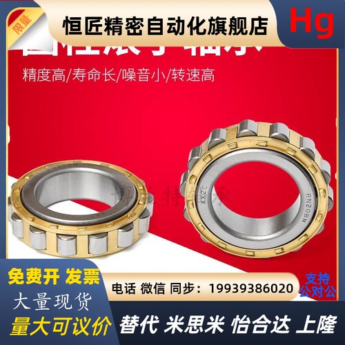 无外圈圆柱滚子轴承RN204M RN205EM 206 207 208 209M现货