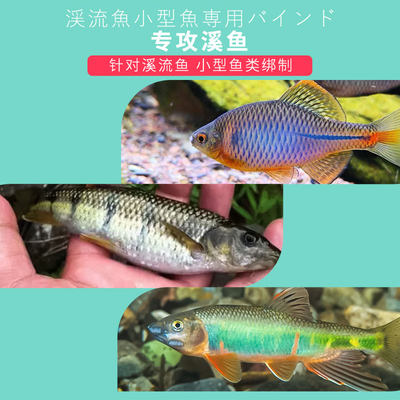 日式溪流小物线组小鱼克星钓鳑鲏石斑专用秋田狐钓组成品绑好鱼钩