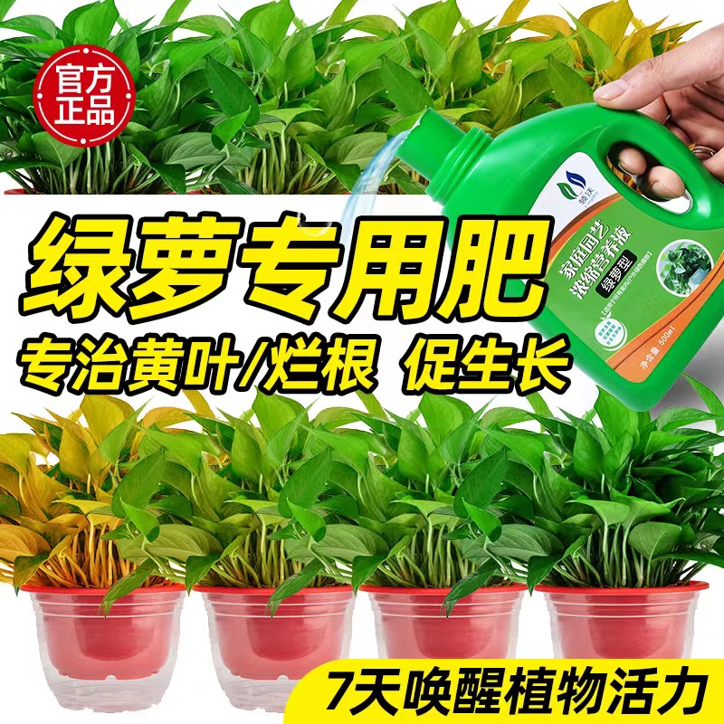 绿萝专用营养液花肥料植物盆栽家用绿箩吊兰水土培养花通用液体肥