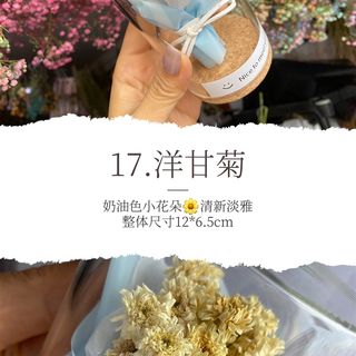 新品拍3包邮g 玻璃瓶罩干花花束小玫瑰摆件伴手礼七夕节教师节生