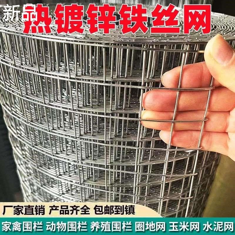 热镀锌铁丝网围栏养殖护栏网养M钢丝鸡防鼠网加粗电焊网抹灰网格,农机/农具/农膜,农场护栏网,淘宝优惠券,粉丝福利购,淘宝优惠卷