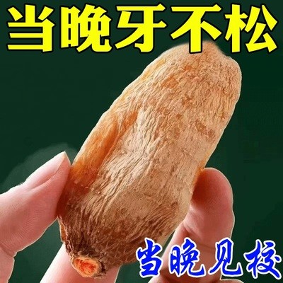 【牙松动修0g1冶好1牙晃动牙周】复牙龈委缩出血肿痛固齿专用牙膏