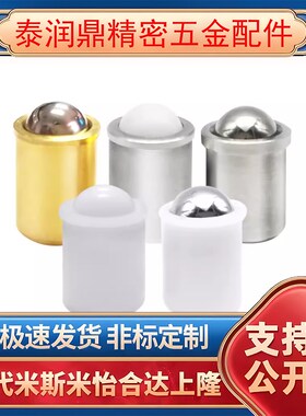 PFSS/PFSSR3/PFSN/PFPPNN P2OZH//4/5/6/8/10 压入式球头柱塞