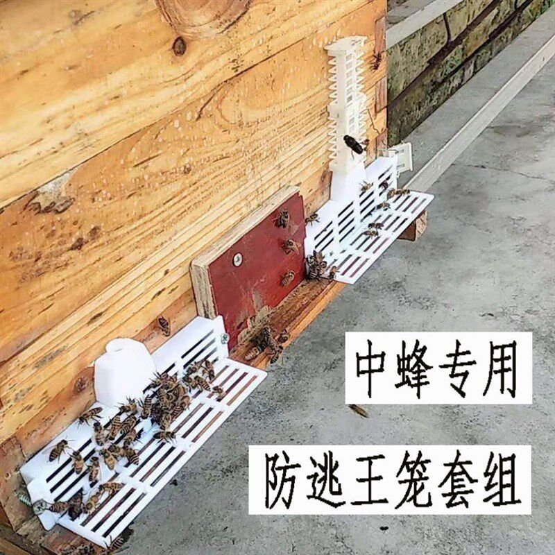 防蜂王囚王笼中蜂k隔王片逃框蜜蜂中蜂防跑王片中蜂防逃片蜂箱蜂