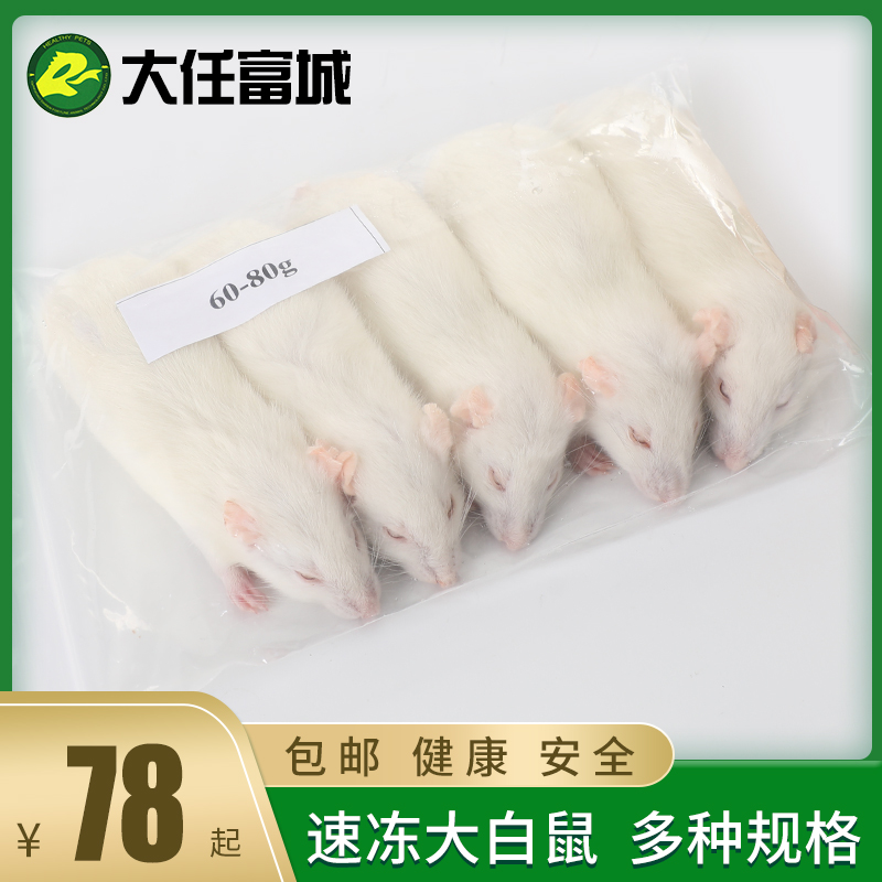 顺丰包邮冷冻大白鼠速冻乳鼠白霜粉皮跳睁眼断奶压成宠.物饲料爬