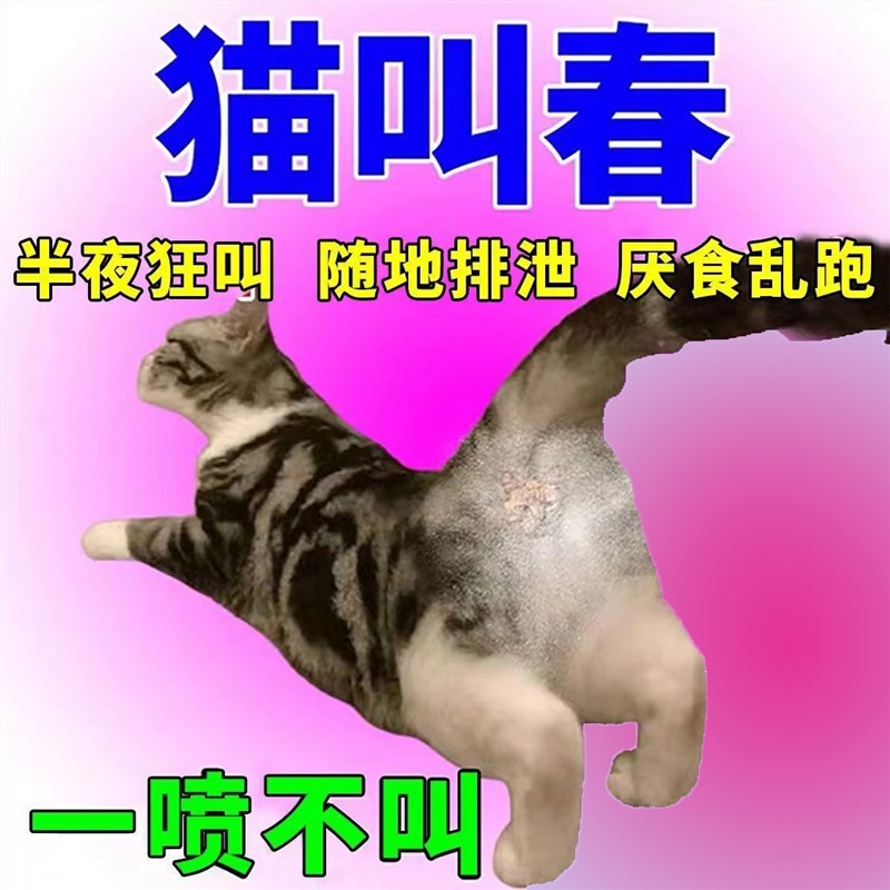 猫咪抑情专用禁情液母猫公猫终身绝育宠物发情期抑情片绝育禁情粉