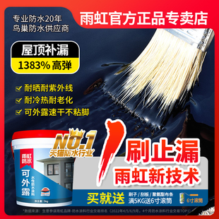 东方雨虹可外露沥青防水补漏王材料屋顶H涂料楼房顶裂缝堵平房漏