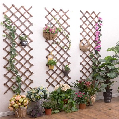 Wooden Fence Carbonized Antiseptic Plant Climb Trellis Suppo