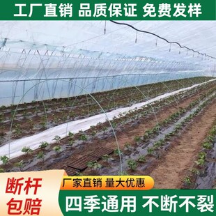 大棚拱杆爬藤竿子玻璃纤维草莓支架果树塑料布防虫花棚保温蔬菜园