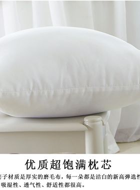 沙发抱枕芯子靠垫芯子腰枕头芯大靠枕芯4545/5555/6060/6565/4055