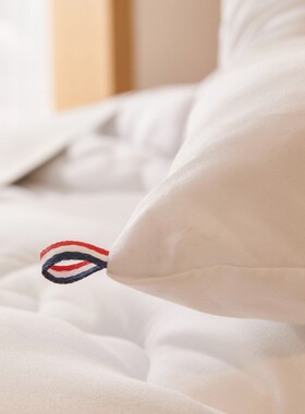 酒店白色丝棉被3/4/5/s6/7/8/10斤被子冬被加厚保暖被芯春秋四季