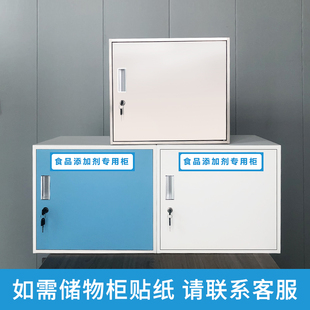 新鸥不锈钢食品添加剂专用柜箱带锁铁皮小型文件柜储物柜单门矮柜