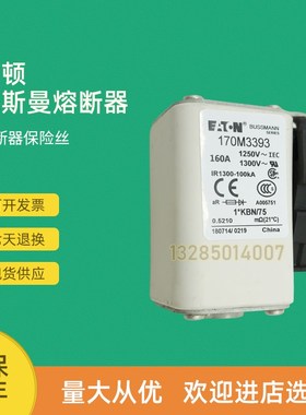 全新快速熔断器保险170M3366  170M3367 170M3368 170M3369