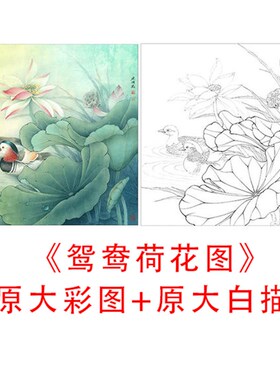 工笔花鸟斗方白描底稿李晓明-鸳鸯荷花-线描临摹实物打印稿841C