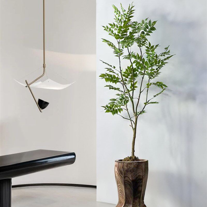 侘寂风绿植落地花器整挖实木桶民宿茶室造景植物装饰品摆件大花瓶,家居饰品,落地摆件,淘宝优惠券,粉丝福利购,淘宝优惠卷