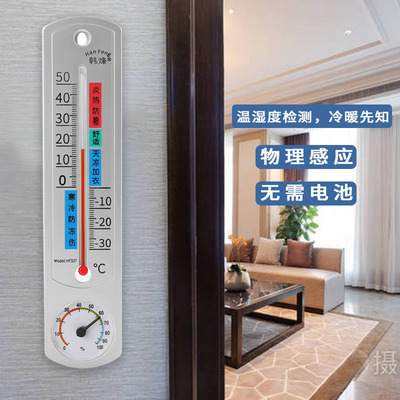 温度计室内精准家用挂墙大棚养殖专用农业养鸡场高精度温湿度计