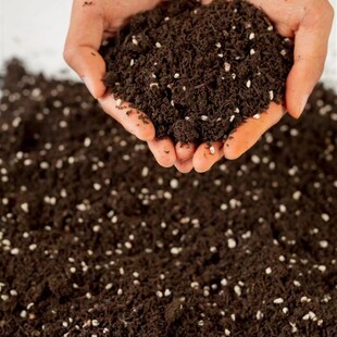 云南腐熟松针腐殖土兰花多肉营养土养花专用种菜通用型腐叶种植土