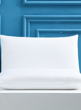 Solid Bed Pillowcases Bedding Pillow Covers for Bedroom,2pcs