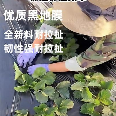 推荐黑色除草地膜农用保温保湿果园防草蔬菜大棚种植薄膜加厚新料