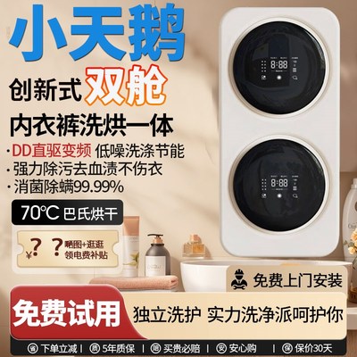 分区洗壁挂式双仓内衣裤洗衣机小型全自动洗袜子机迷你双舱桶